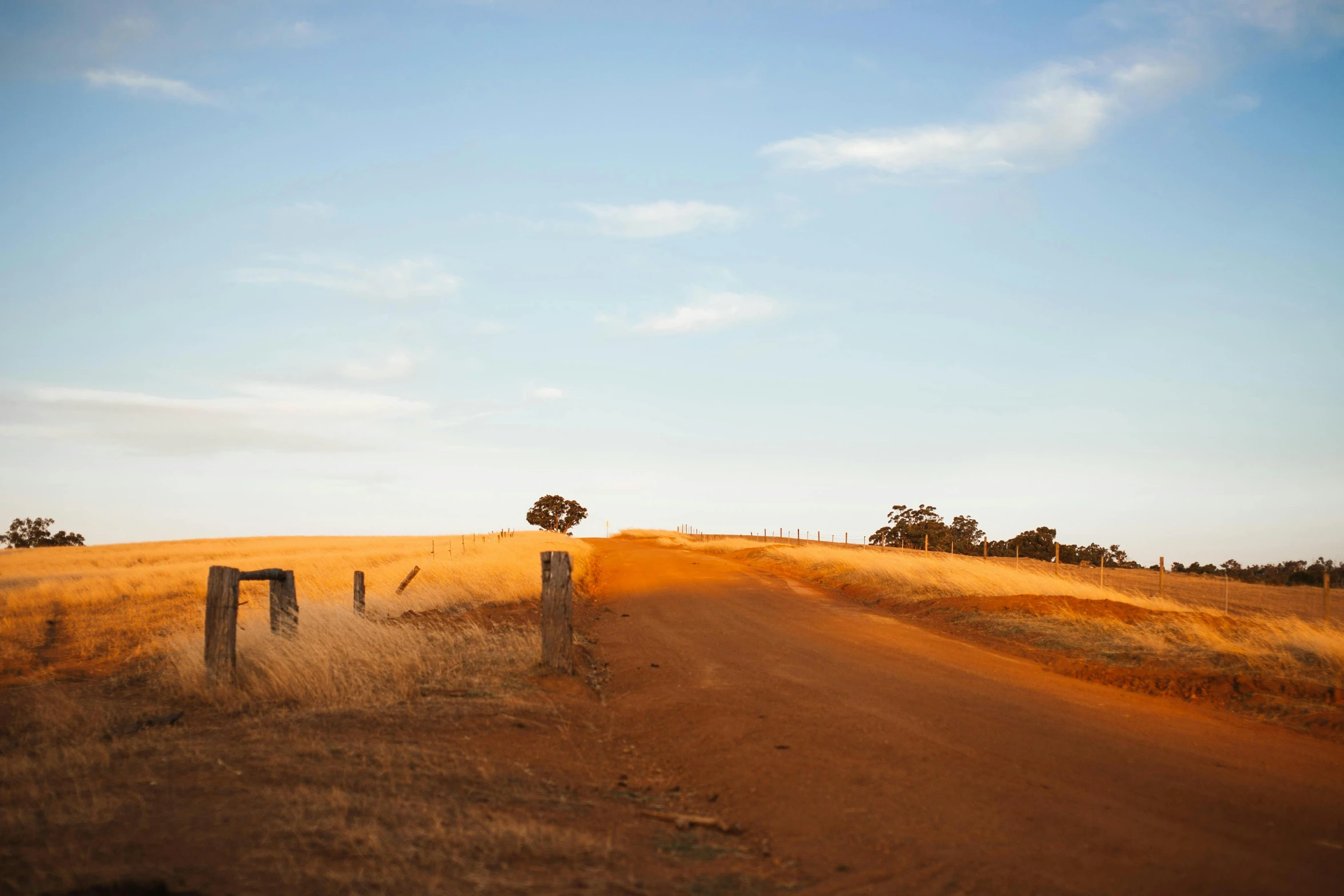 an open field with a gate, in the distance, and trees