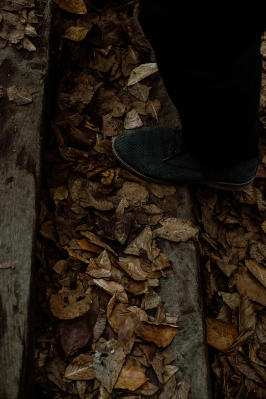 a person's feet standing on some leaves on the ground
