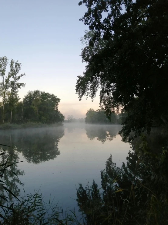 a large lake surrounded by lots of trees