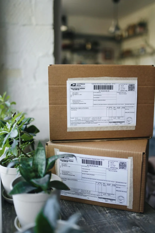 two boxes on top of a table near a plant