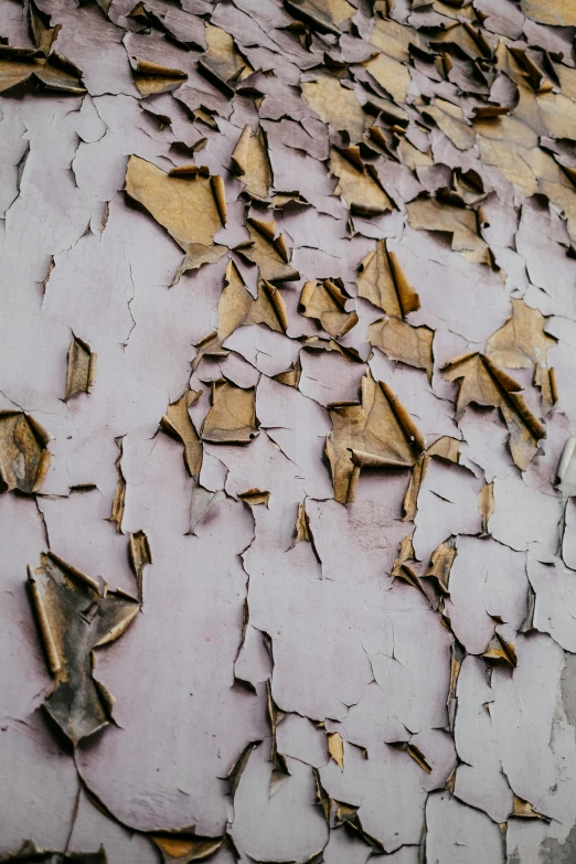 a peeling paint surface with a lot of chipping paint and pieces of peeling gold paint