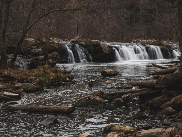 a river with water running over rocks and a lush green forest