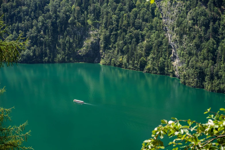 a boat floating through the green water near trees