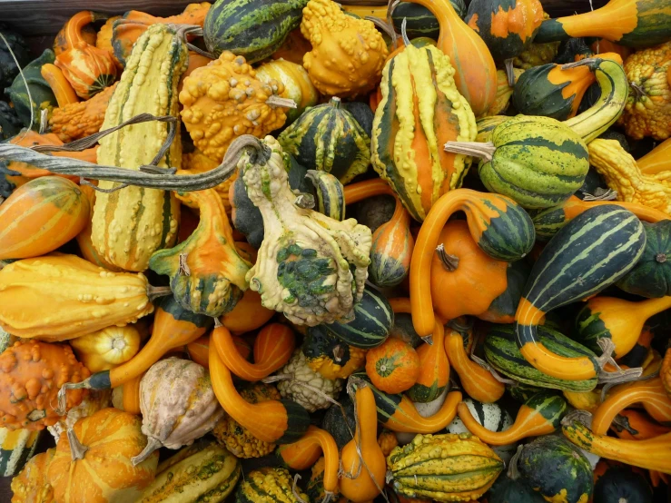 a large crate full of squash next to small cauliflower