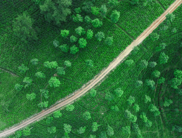 an aerial s of a dirt road through a grassy area