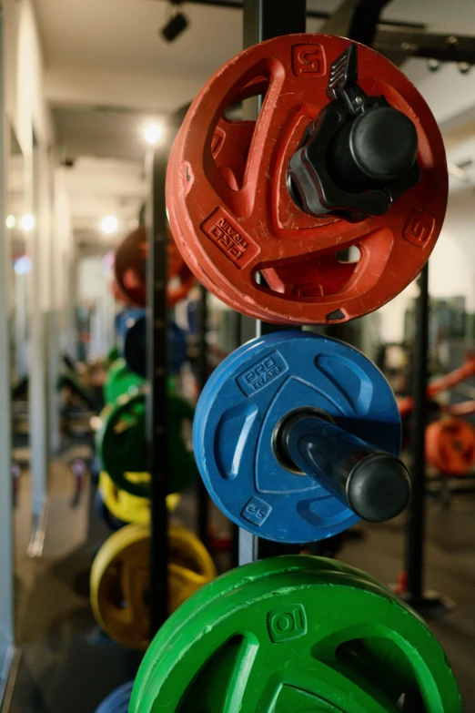 multiple colored and black weights in an indoor gym
