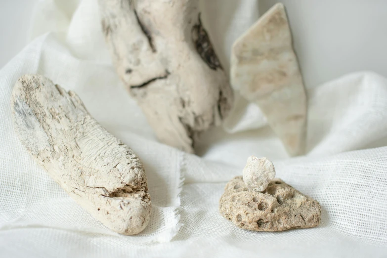 driftwood sculptures on fabric against white background