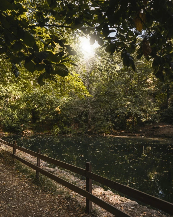 a park path with fence surrounding a body of water