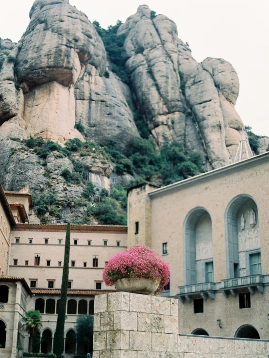 the large mountains behind the building has pink flowers in it