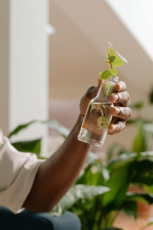 a man holding a glass filled with small plants