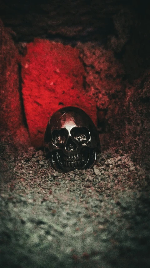 a skull sitting in the middle of a red rock