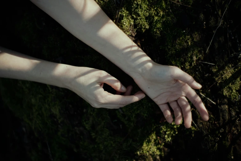 two hands outstretched toward the ground next to each other
