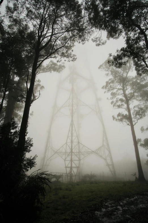 an image of an electrical tower in the fog