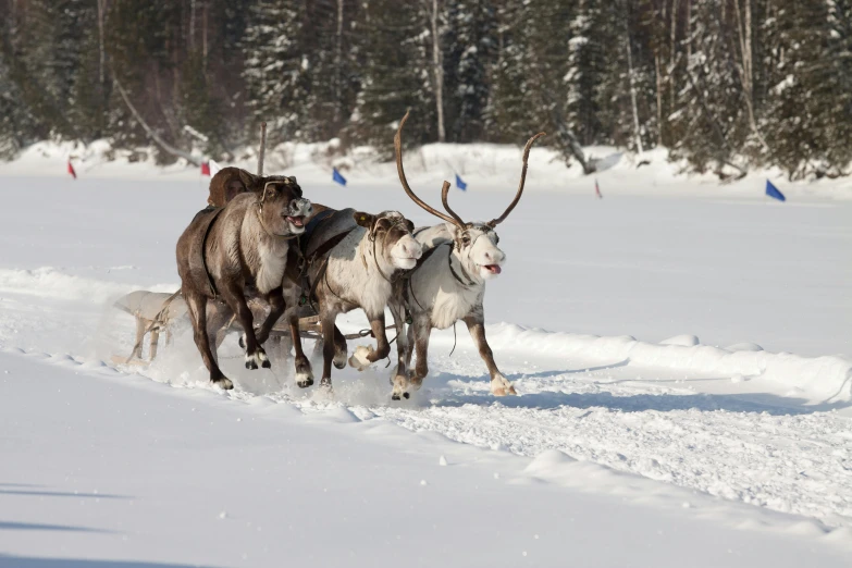 a group of men are in the snow chasing each other