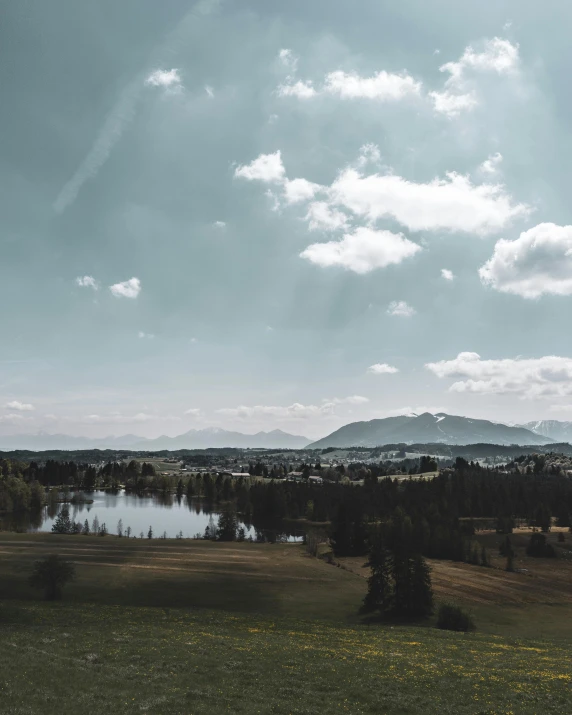 the landscape is full of grass and trees