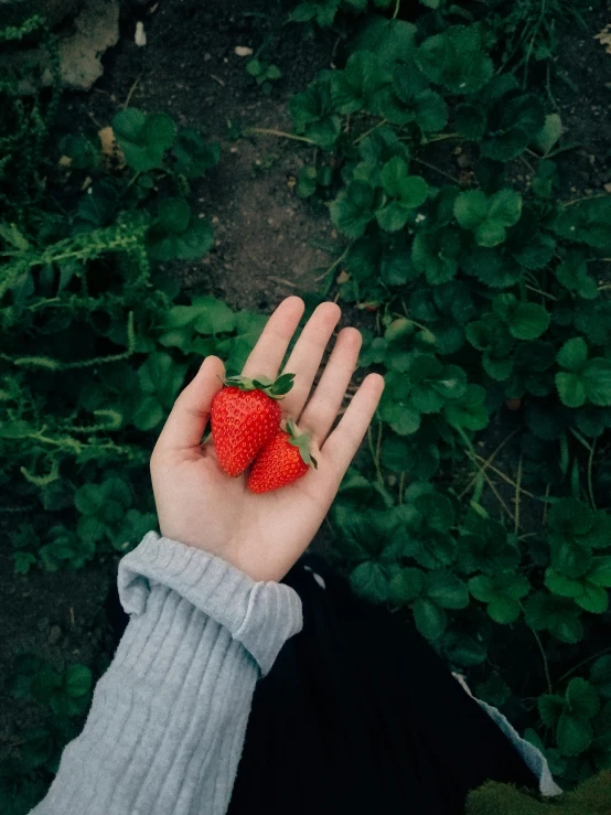 a person holds a half - full strawberry up in the air