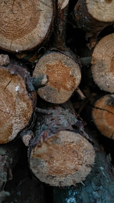 a bunch of logs stacked next to each other