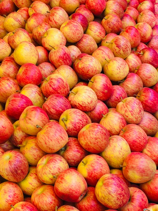 an assortment of ripe apples sitting on display in a bin