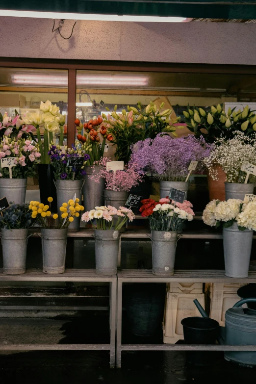 many flowers are in pots on the table