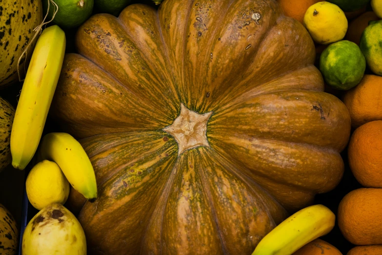 a group of different fruits including oranges, bananas and squash