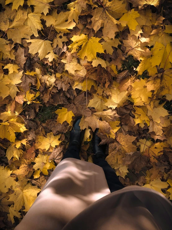 person sitting down in the leaves