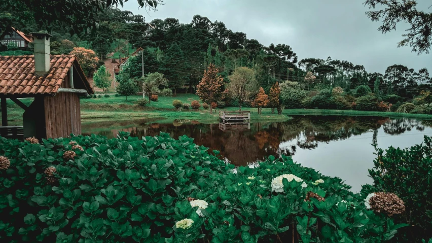 a river that has lots of flowers growing around it