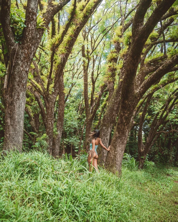 a girl standing between two tall trees on a lush green field