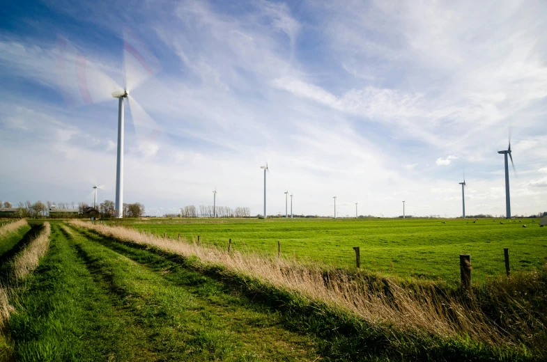 an open field with windmills behind it