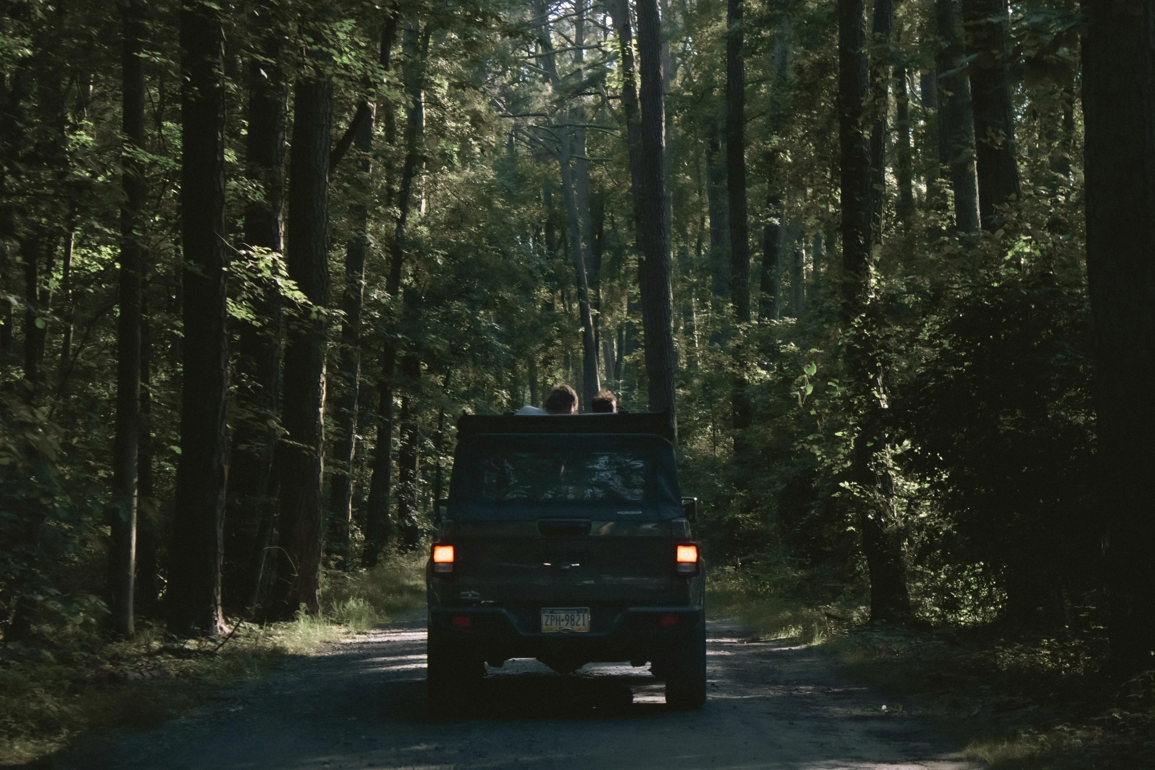 people riding in the back of an suv going through some trees