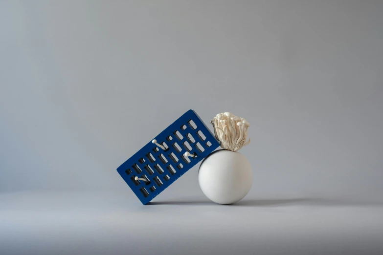 a plastic egg with a white shell attached