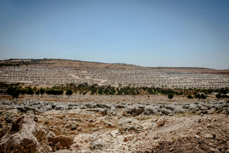 an overview s of a small tree farm