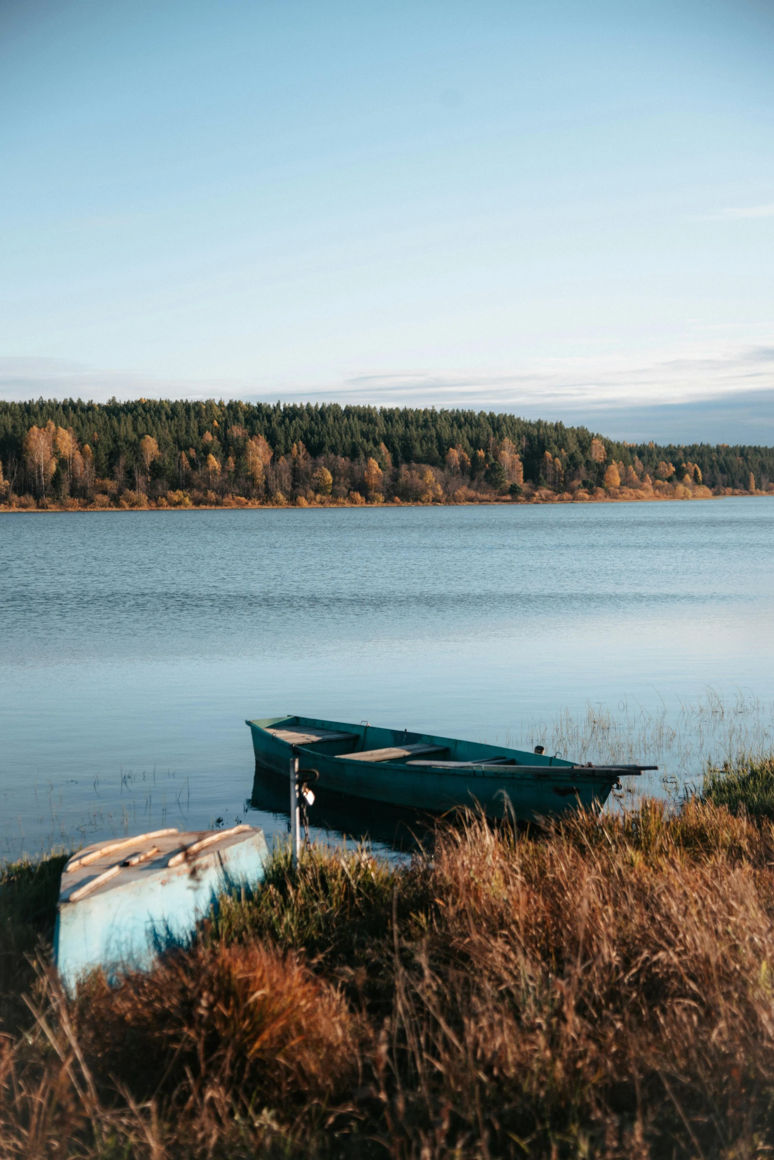 an empty boat sitting on a body of water near a forest