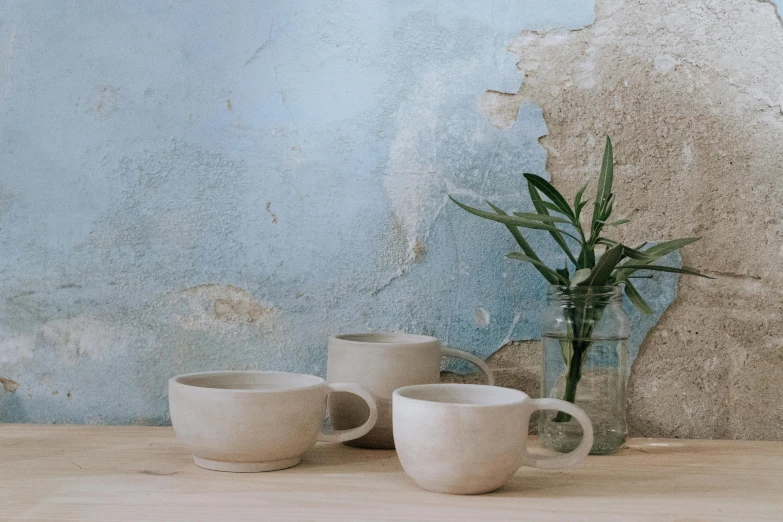 three white cups next to a green plant