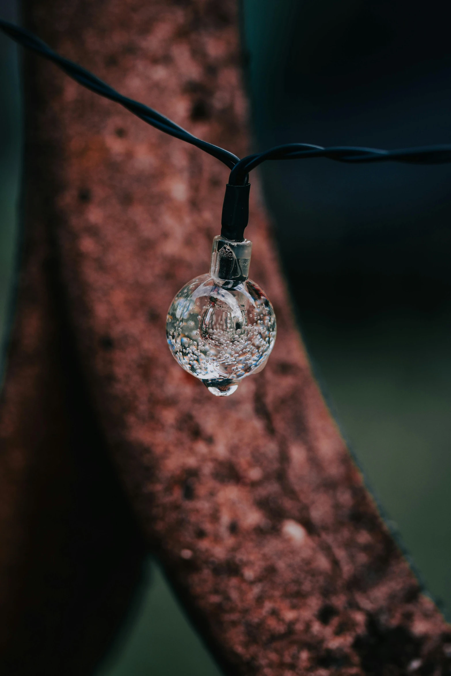 a plastic ball hanging on a string near a tree nch