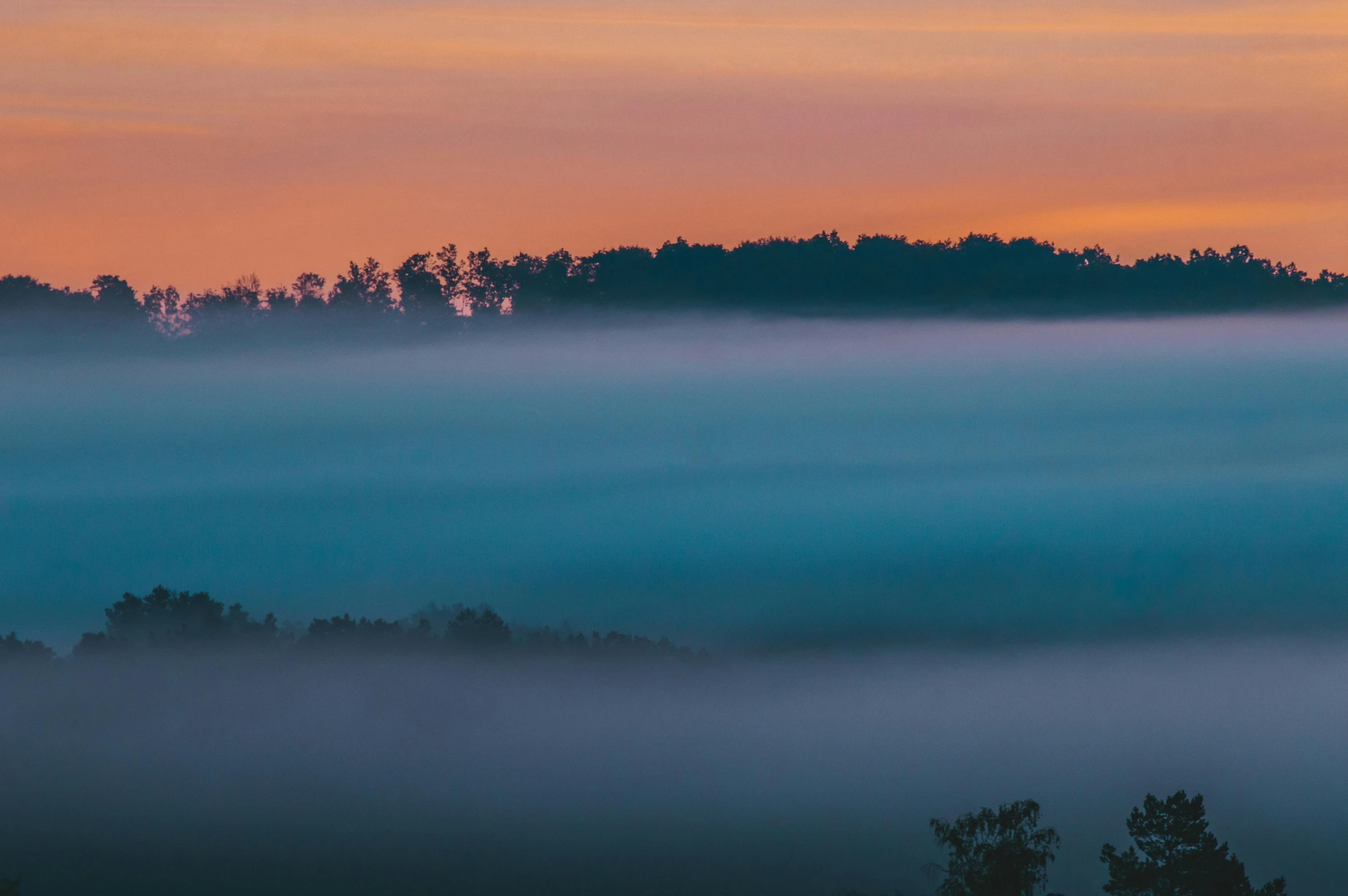 a group of trees sit on the hill next to some fog