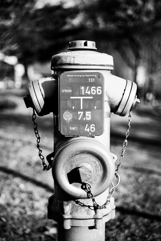 black and white fire hydrant sitting in front of a park