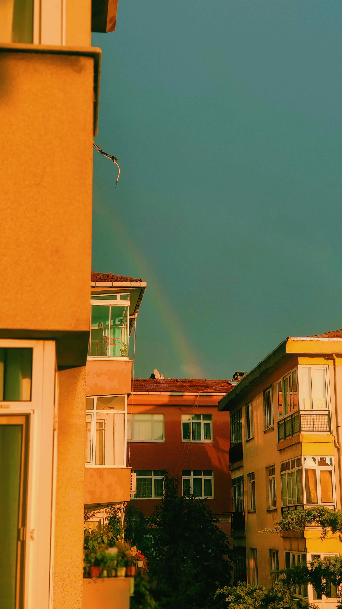 a colorful rainbow in the sky is visible above the buildings