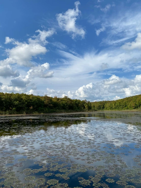 the sky is overcast and the water is full of things