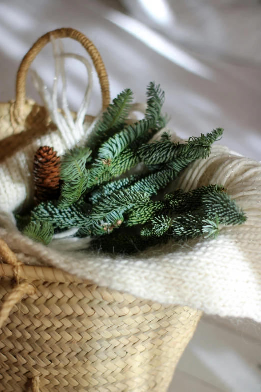 some pine cones and nches are in a basket