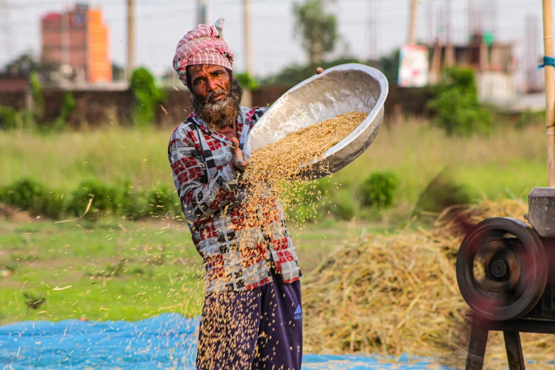 a man in the field sprinkling rice with a large wooden bowl