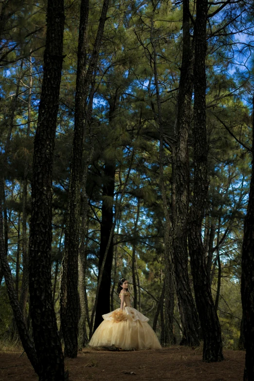 a woman in a wedding dress in the middle of a forest