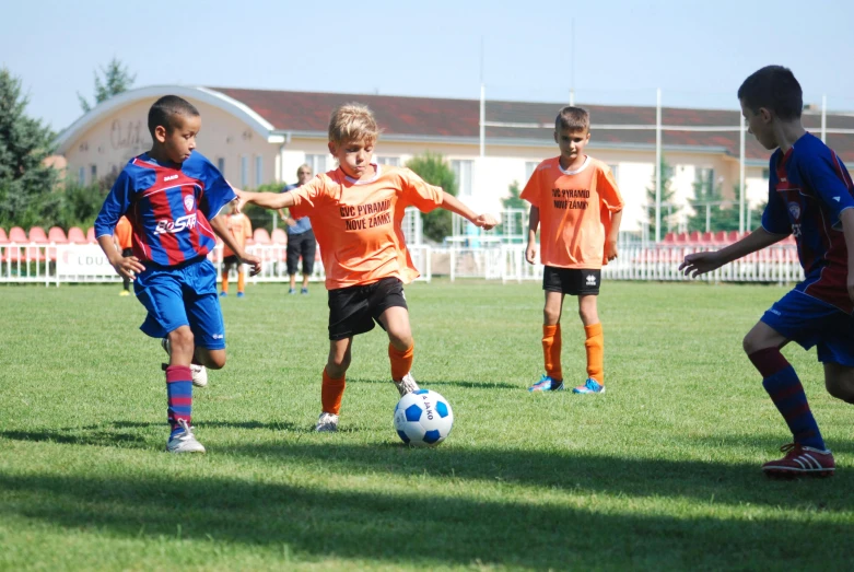 several children are playing soccer in the grass