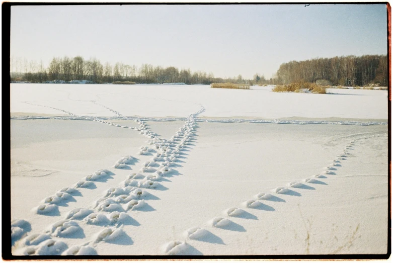 the tracks in the snow are very difficult to cross