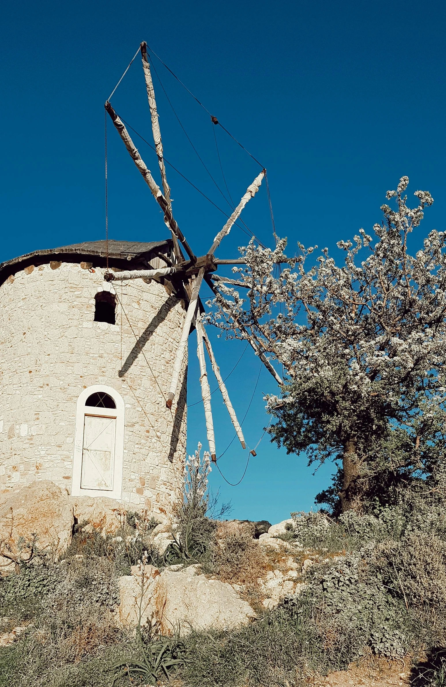 the roof of an old building with two windows and large windmill