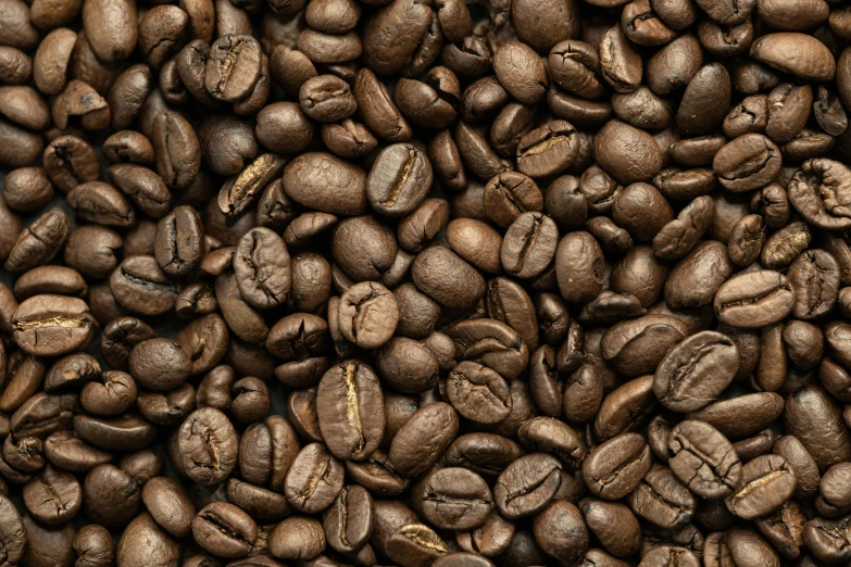 an image of coffee beans on a black background