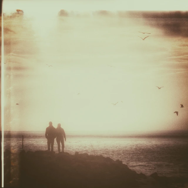 two people walking on the beach with birds flying by