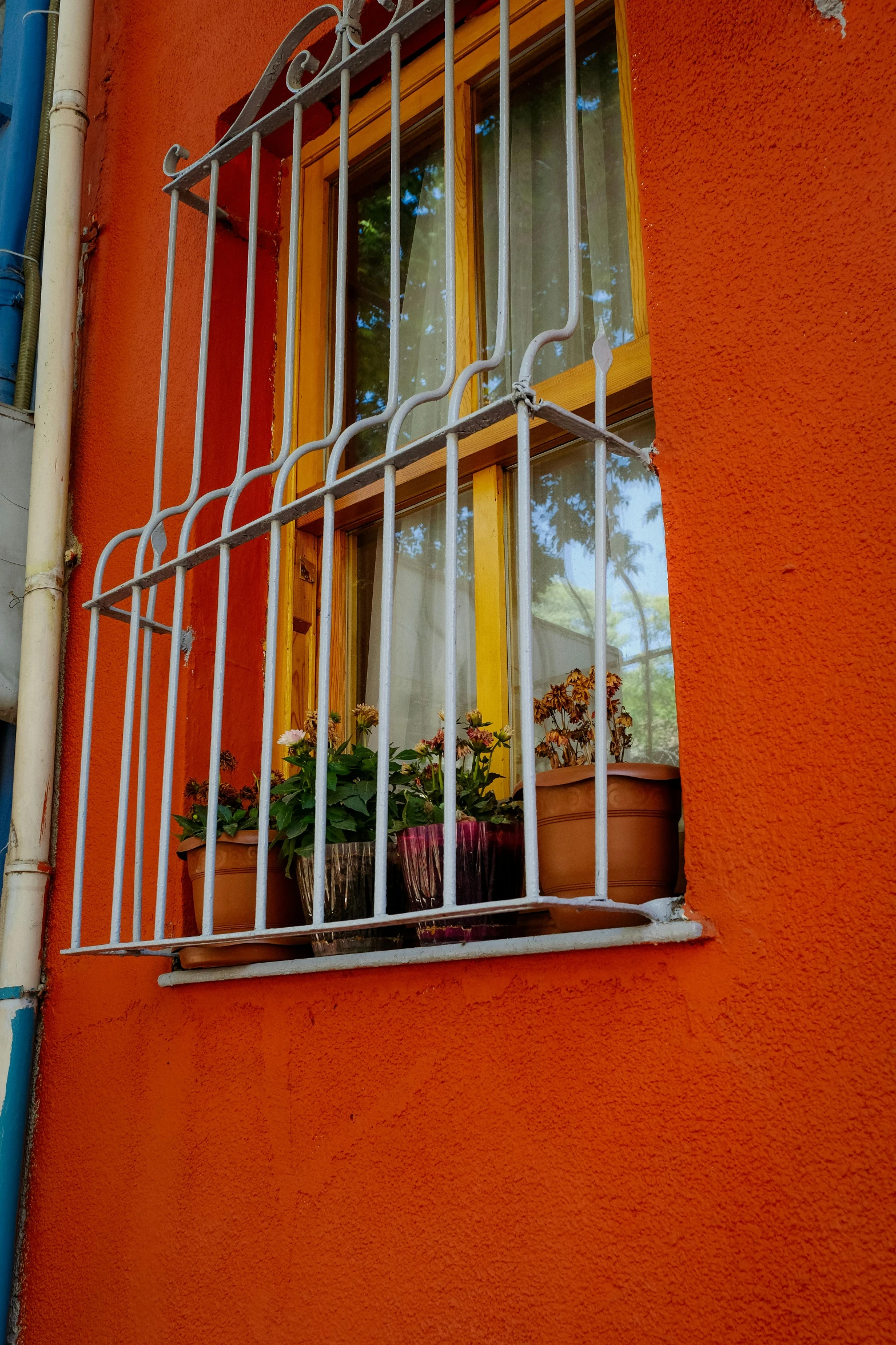 a window that has bars running through it