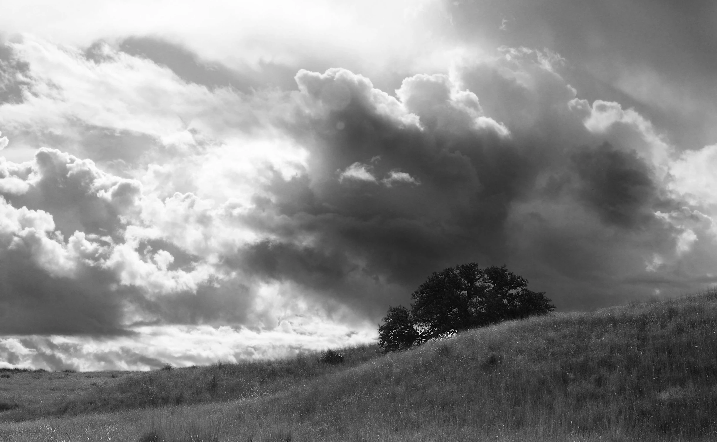 a cloudy day and a lone tree on the horizon