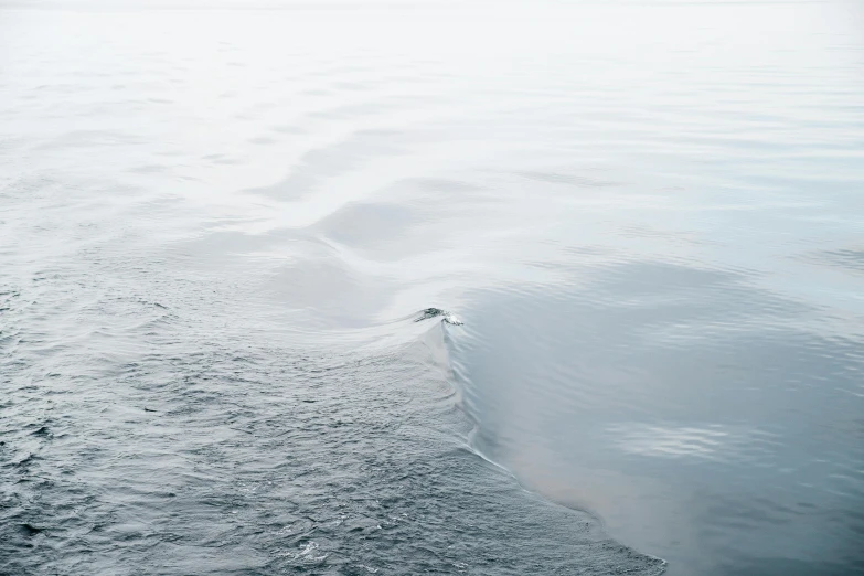 water that has a small amount of sand in it