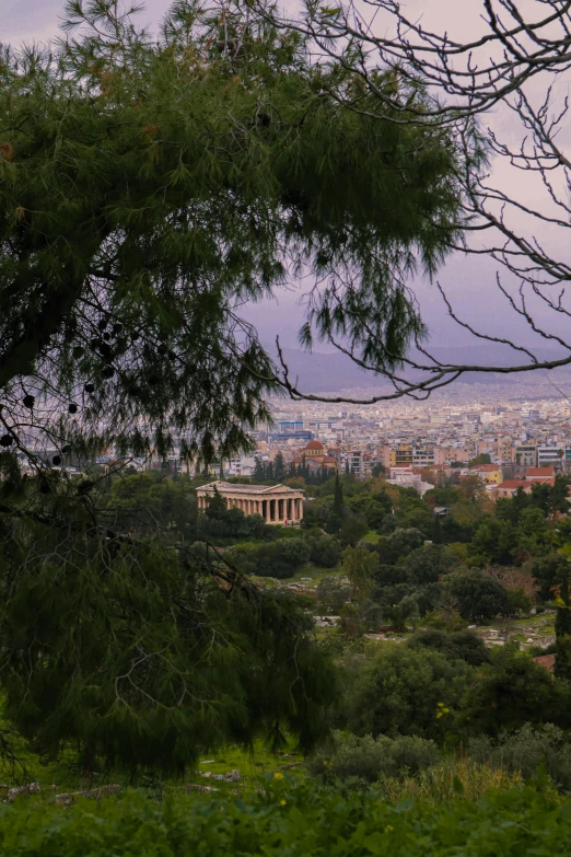 view of a city through a few nches of a tree
